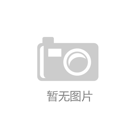 ant全面解析：动力与科技的完美交融！不